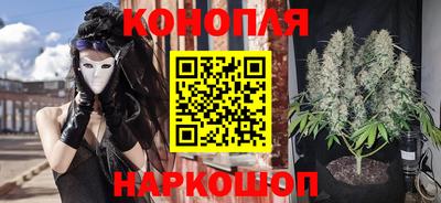 СК Новозыбков
