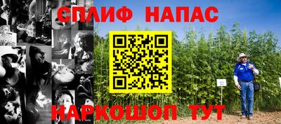 СК Новозыбков